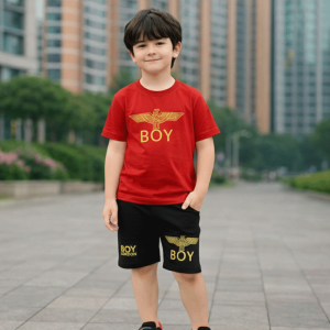 Stylish cotton t-shirt and pant combo for boys=HZ-503